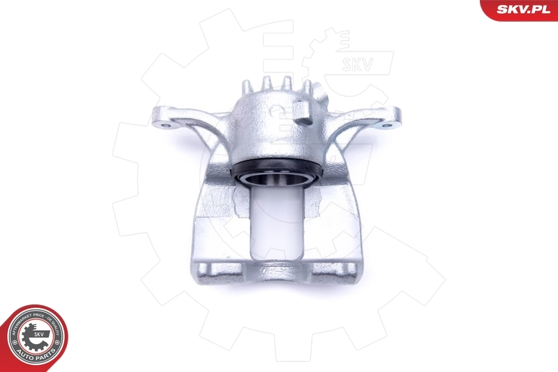 Brake Caliper 46SKV232