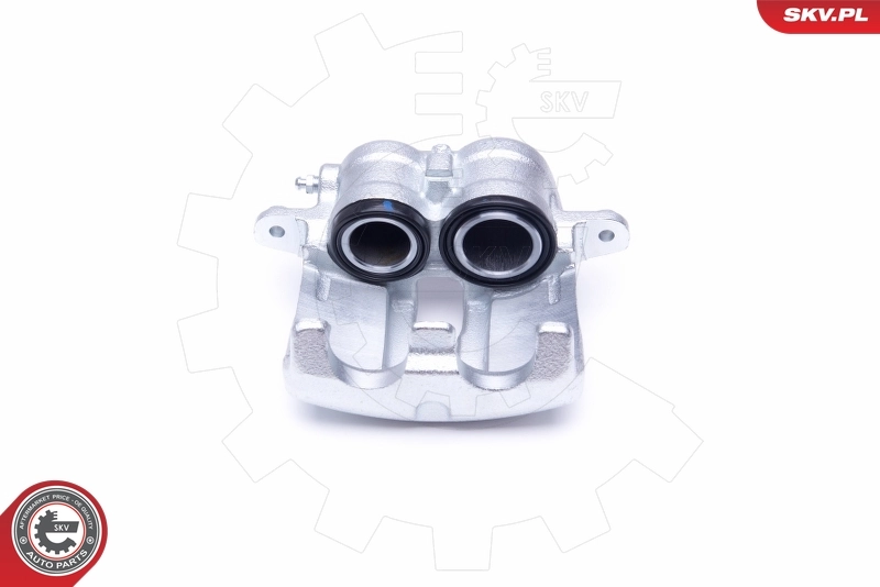 Brake Caliper 46SKV031