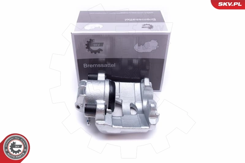 Brake Caliper 55SKV811