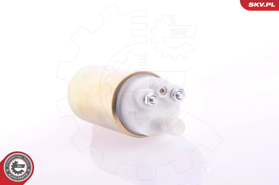 Fuel Pump 02SKV260