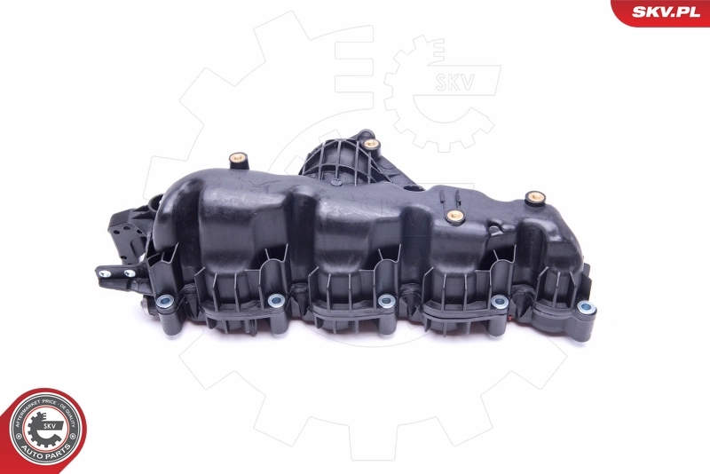 Intake Manifold Module 49SKV007