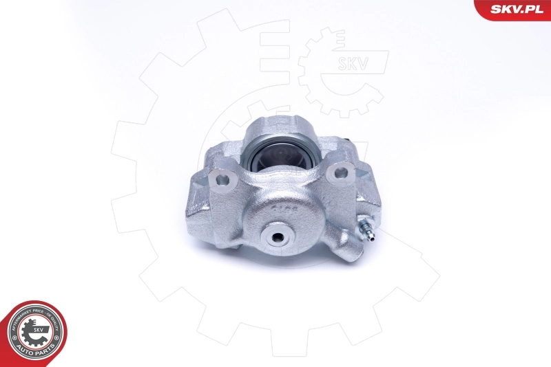 Brake Caliper 45SKV281