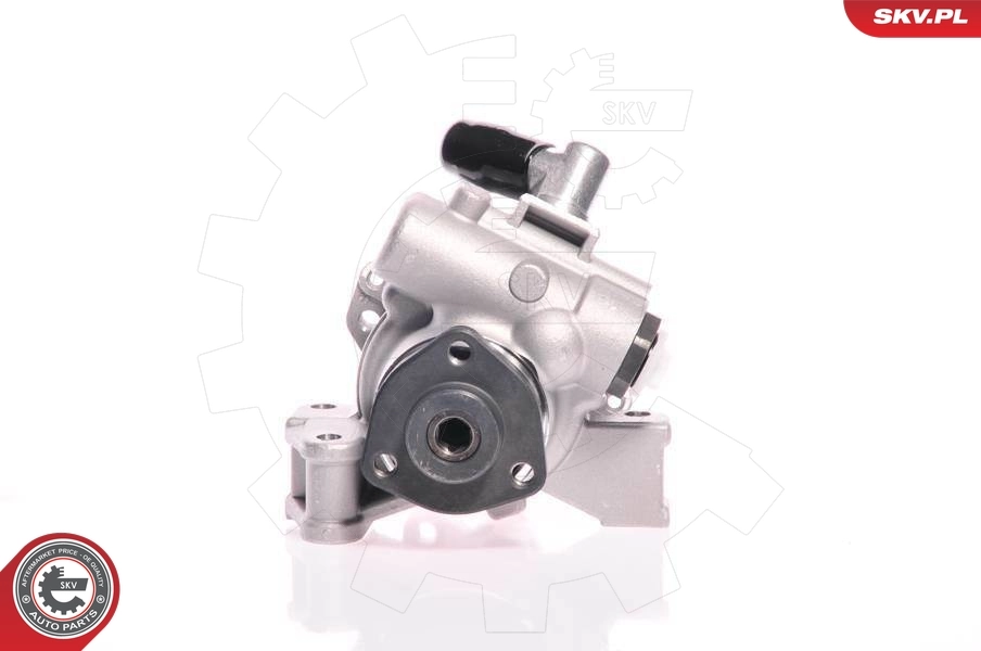 Hydraulic Pump, steering 10SKV148