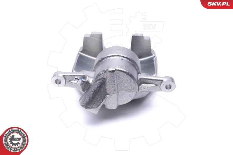 Brake Caliper 55SKV972