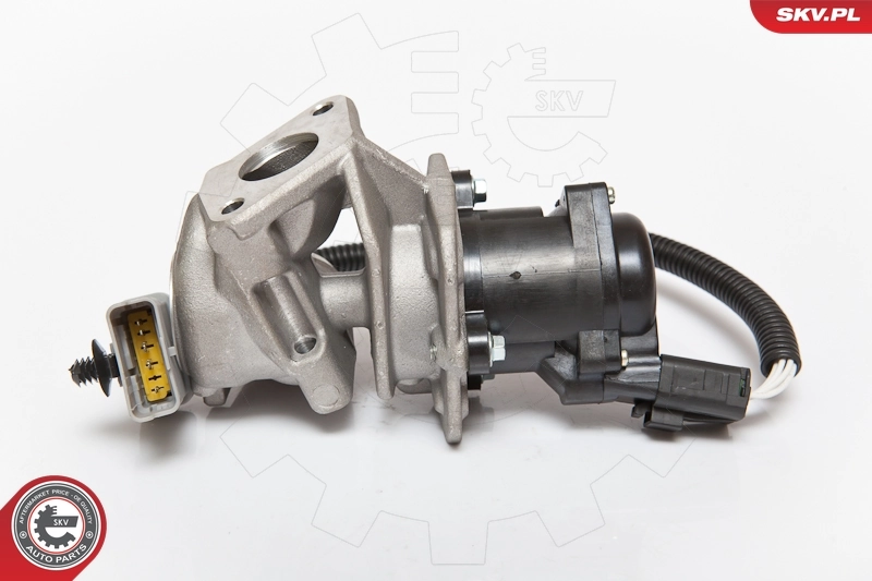 EGR Valve 14SKV071