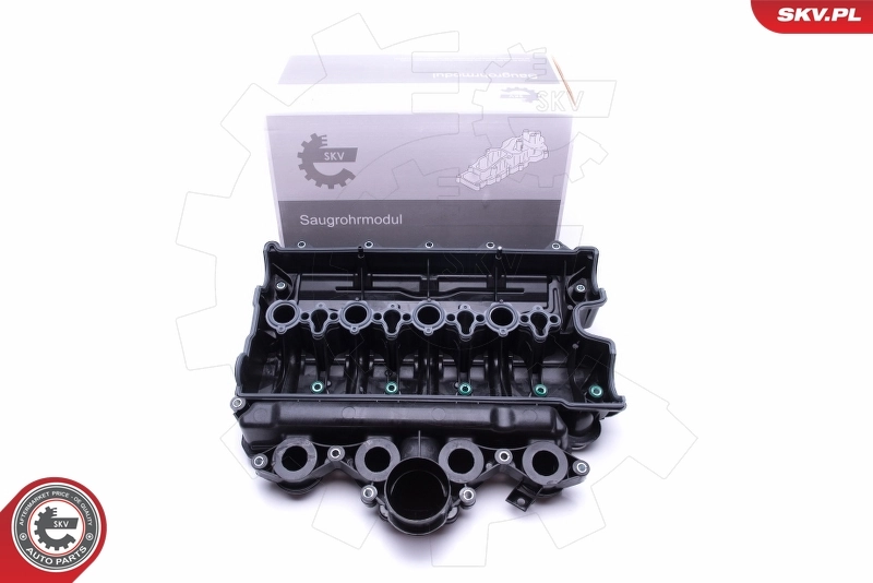 Intake Manifold Module 49SKV021