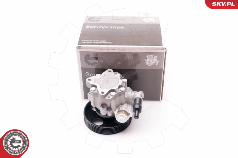 Hydraulic Pump, steering 10SKV197