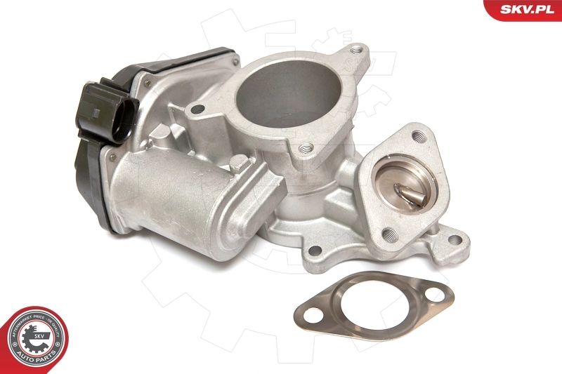 EGR Valve 14SKV083