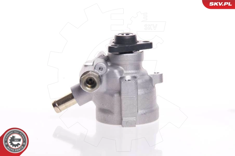 Hydraulic Pump, steering 10SKV007