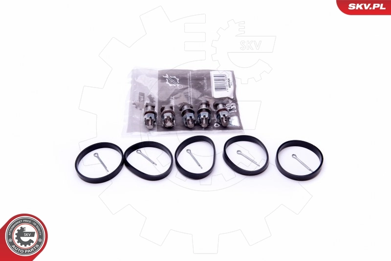 Repair Kit, intake manifold module 49SKV524
