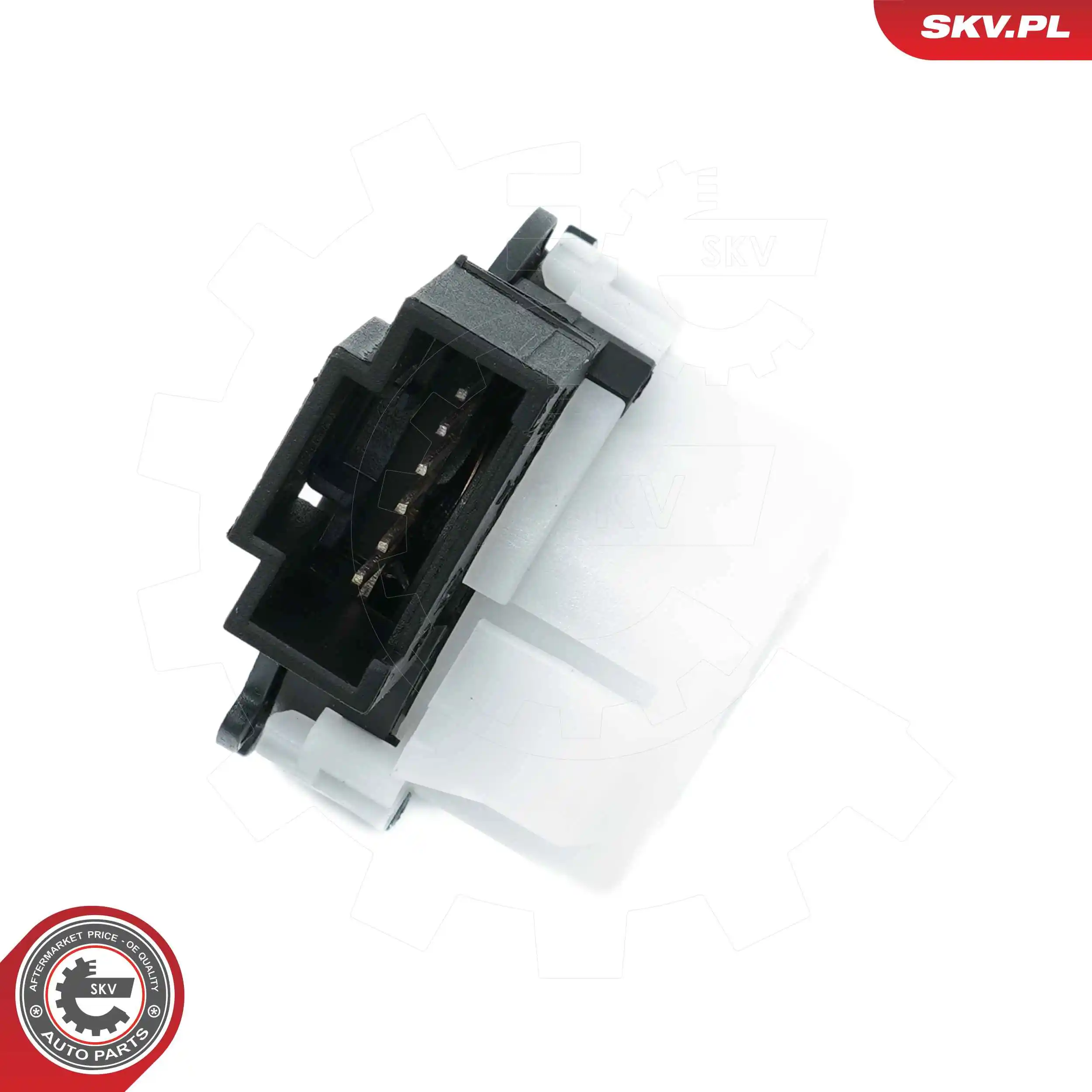 Ignition Switch 65SKV041