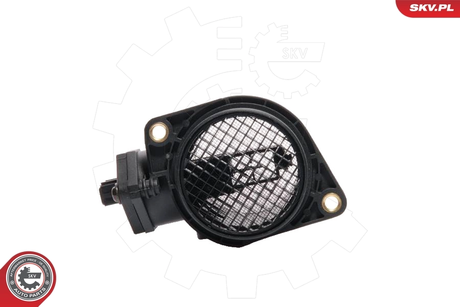 Mass Air Flow Sensor 07SKV014