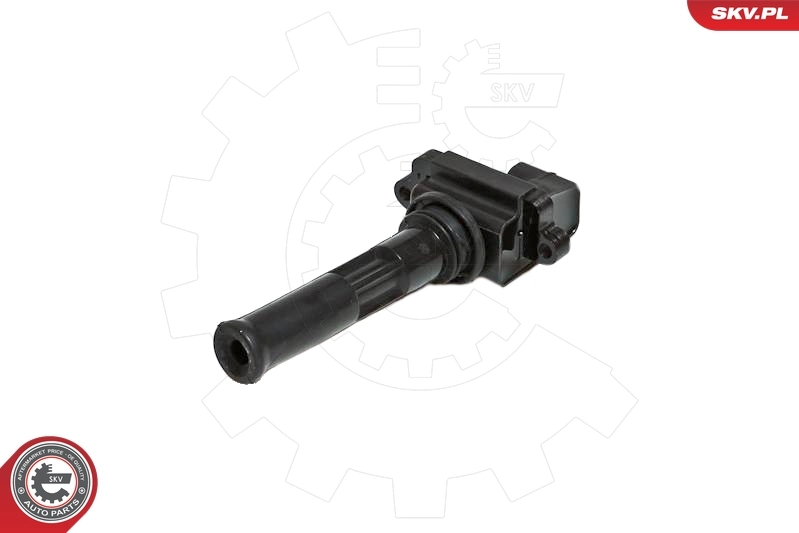 Ignition Coil 03SKV030
