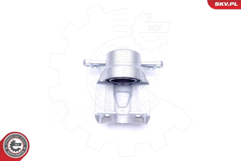 Brake Caliper 45SKV412