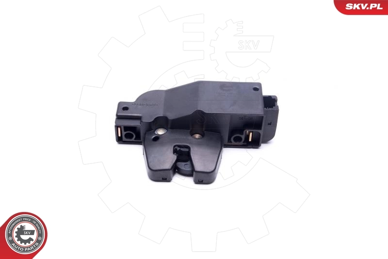 Tailgate Lock 16SKV293