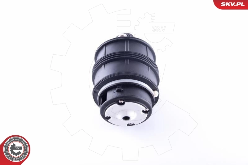 Air Spring, suspension 58SKV019