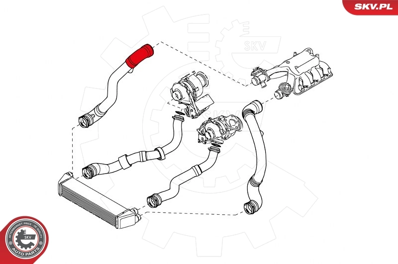 Charge Air Hose 43SKV170