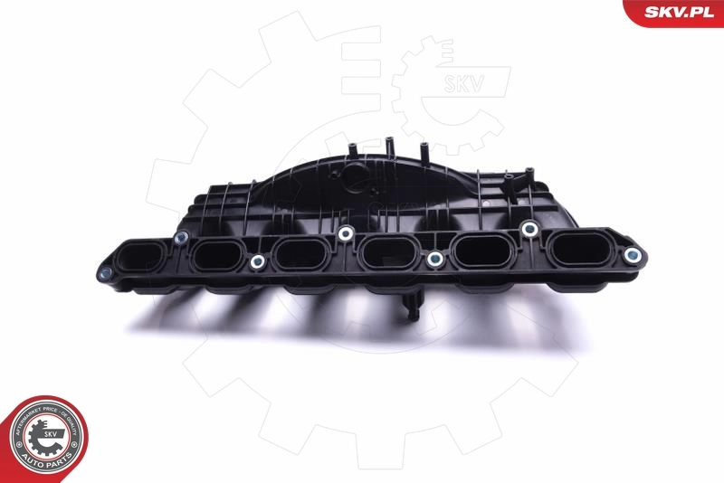 Intake Manifold Module 49SKV064