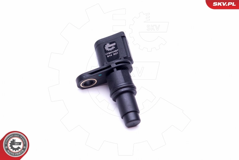 Sensor, camshaft position 17SKV487