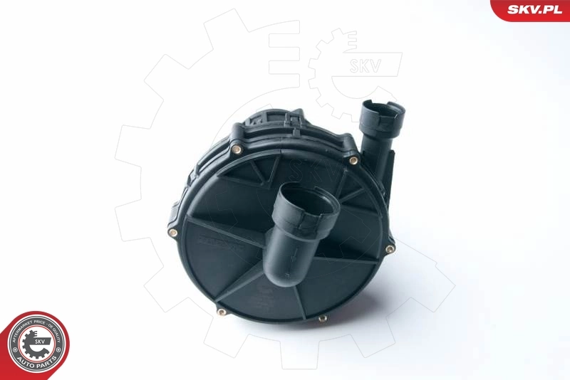 ESEN SKV 96SKV201 Secondary Air Pump