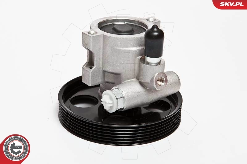 ESEN SKV 10SKV069 Hydraulic Pump, steering