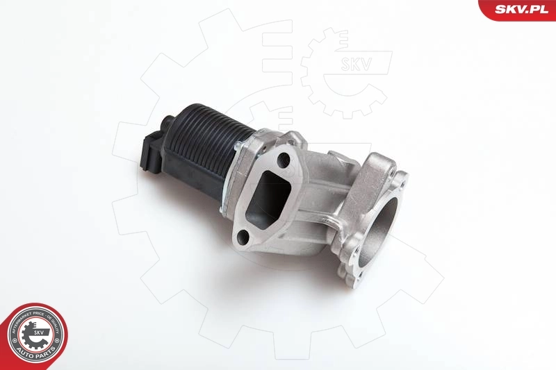 EGR Valve 14SKV014