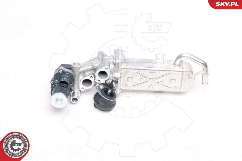 EGR Valve 14SKV094