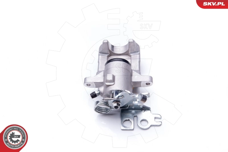 Brake Caliper 42SKV044