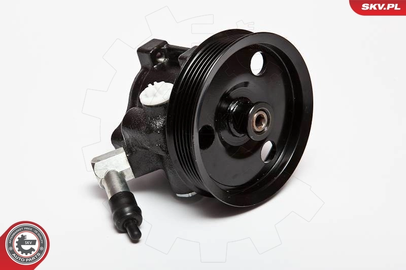 Hydraulic Pump, steering 10SKV066