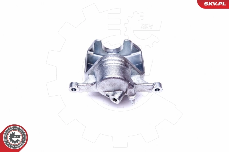 Brake Caliper 42SKV701