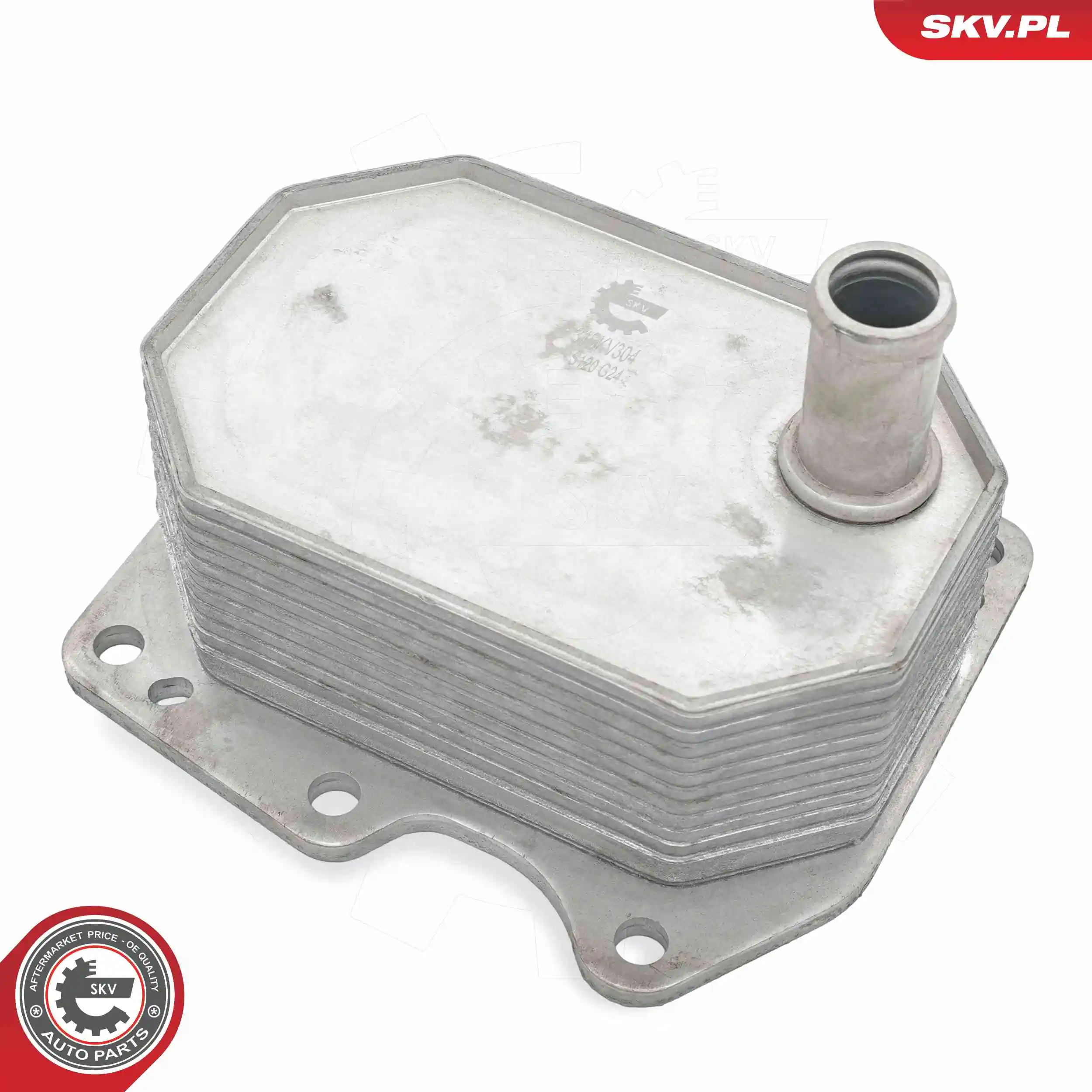 Oil Cooler, engine oil 31SKV304