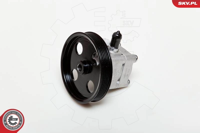 Hydraulic Pump, steering 10SKV177