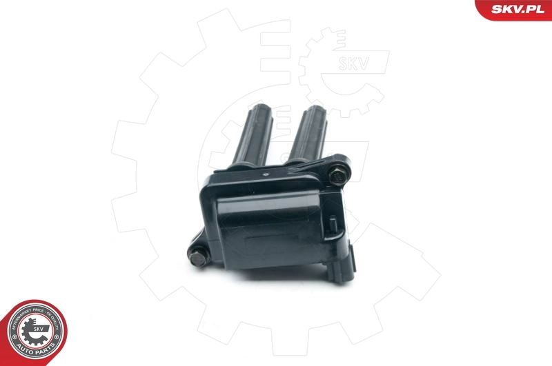 Ignition Coil 03SKV250