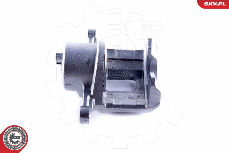 Brake Caliper 55SKV102