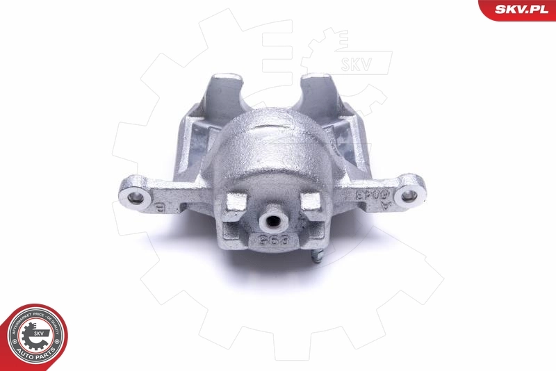 Brake Caliper 50SKV921