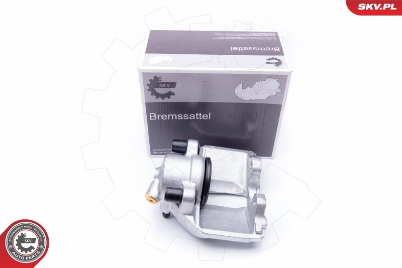 Brake Caliper 42SKV032