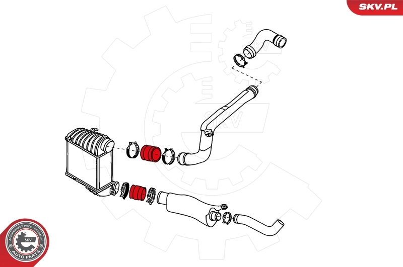 Ladeluftschlauch 24SKV024