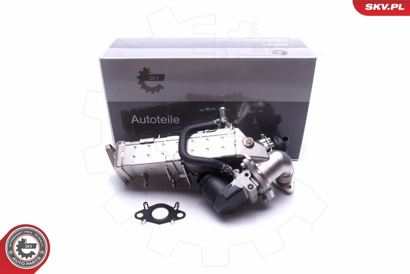 EGR Valve 14SKV234