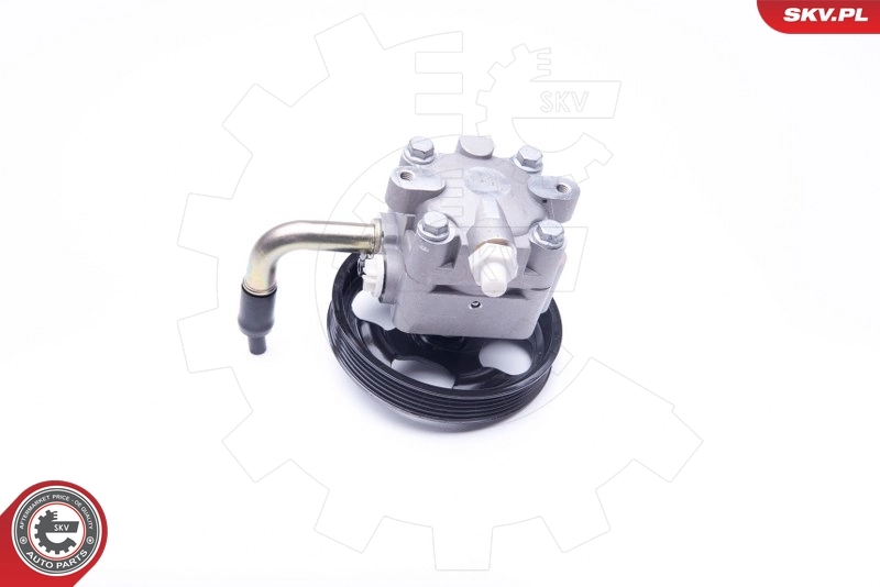 Hydraulic Pump, steering 10SKV268