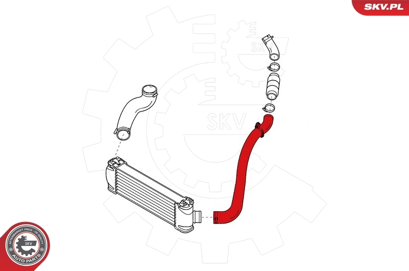 Charge Air Hose 24SKV784