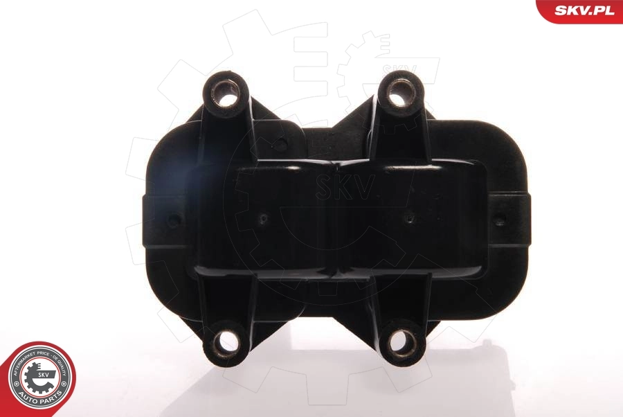 Ignition Coil 03SKV163