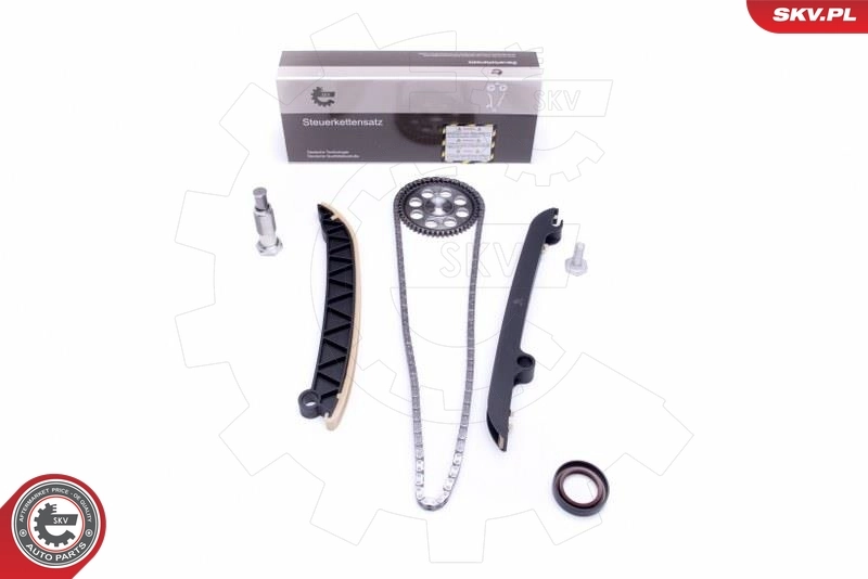 Timing Chain Kit 21SKV153