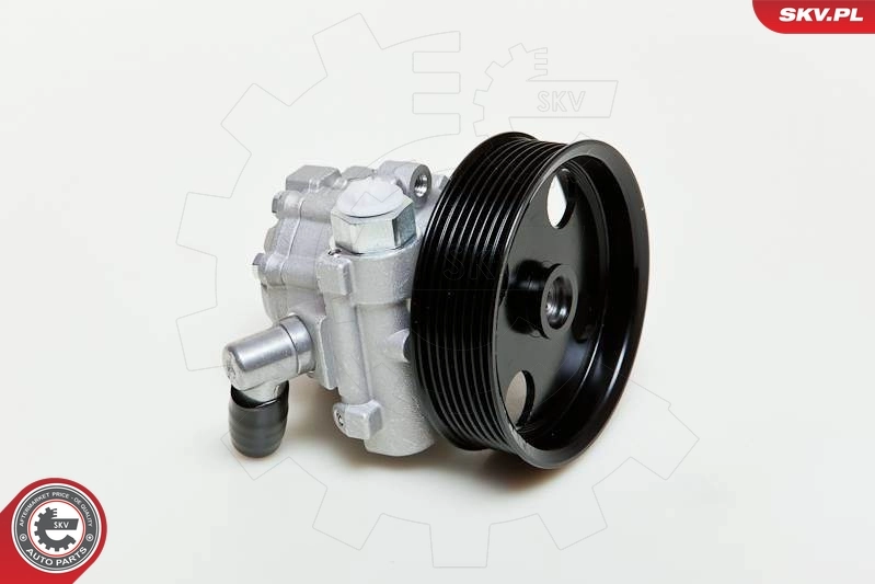 转向助力泵 10SKV039