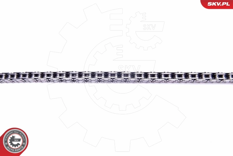 Timing Chain Kit 21SKV142
