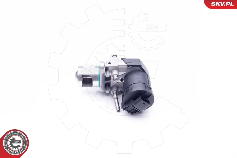 EGR Valve 14SKV169