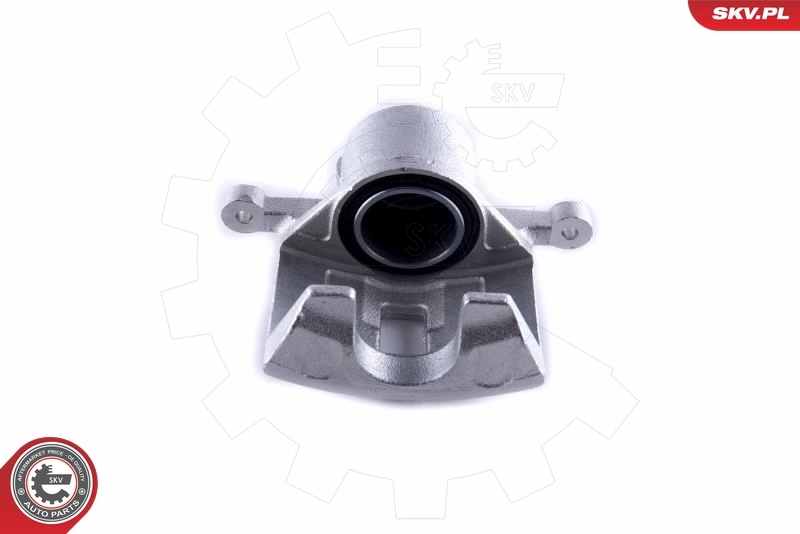 Brake Caliper 55SKV111