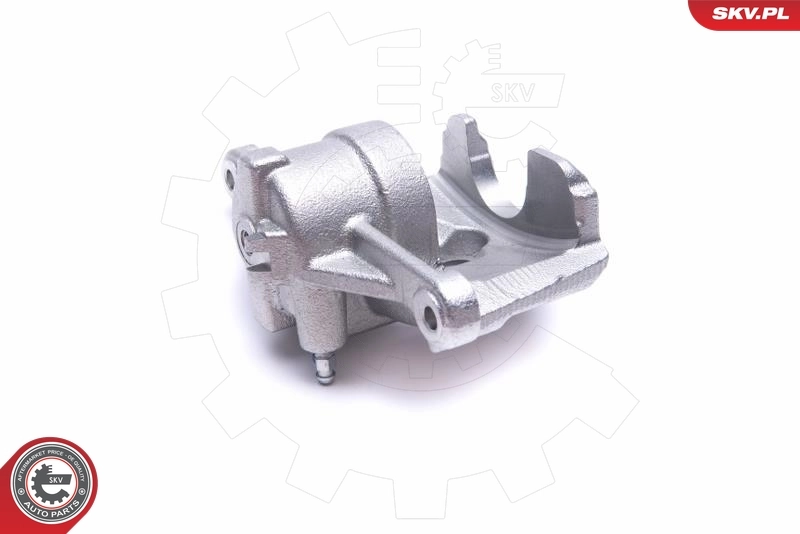 Brake Caliper 56SKV001