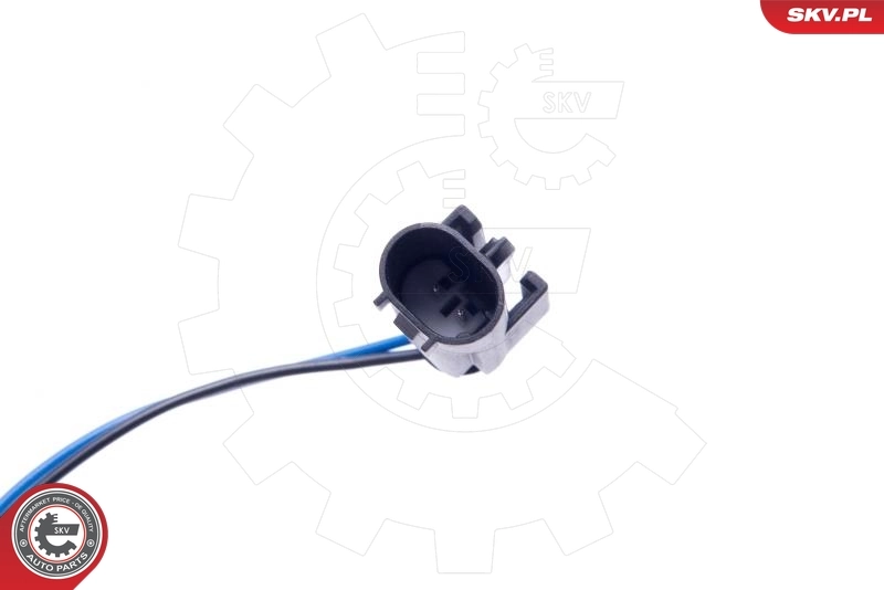 Switch, tailgate release 16SKV276