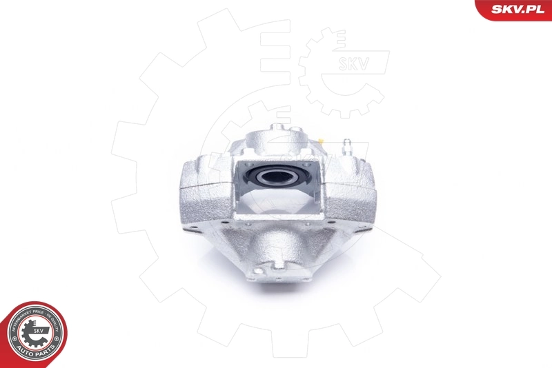 Brake Caliper 42SKV014