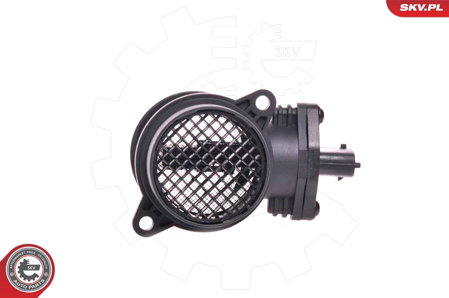 Mass Air Flow Sensor 07SKV087